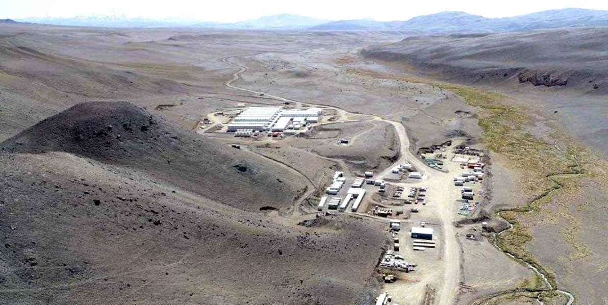 VICUÑA 2
